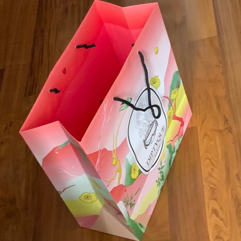 X-LARGE Diptyque Lamei Shopping Gift Bag Limited Edition DIPTYQUE Shopping bag